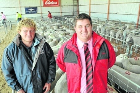 Rohan Hull from Streaky Bay, SA, was one of the sale's volume buyers, taking home 15 ewes