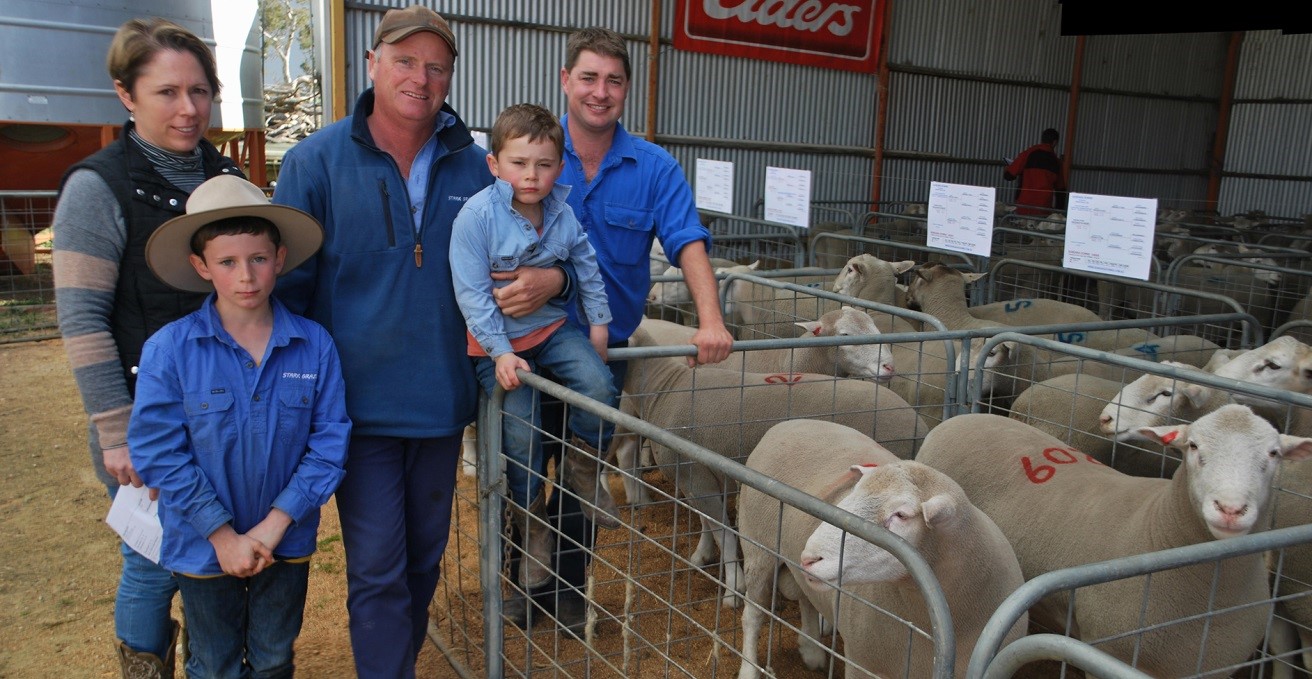 Prominent volume buyers in the Poll Dorset section of the Bundara Downs ram sale were Angela and Ben Stark and sons Sam and Archie, Stark Grazing, Stewarts Range. They purchased 15 top rams and are with Bundara Downs’ Greg Funke.