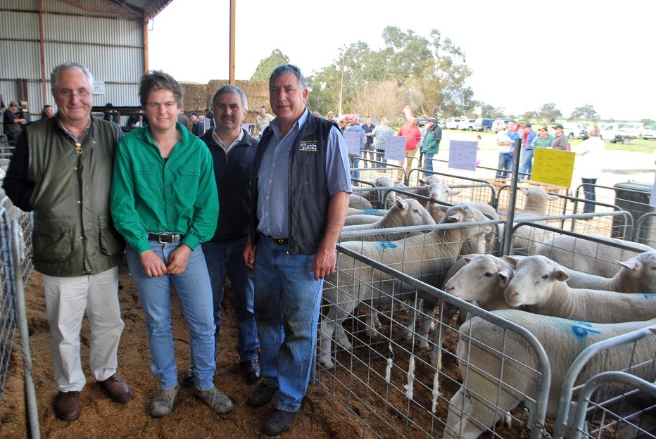 Bundara Downs principal Steve Funke (right) is with the major buyers at their White Suffolk and Poll Dorset ram sale, Tim and Leon Schwarz, Muston Creek, Hamilton and their agent Robert Lovell, Landmark Hamilton (left). They purchased 43 rams.