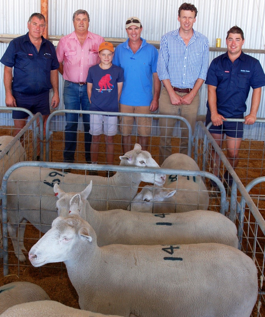 Bundara Downs’ co-principals Steve (left) and Greg Funke (right), Western Flat, flank dominant volume buyers at their White Suffolk biennial mated ewe sale. They are Will and his father Nick Wadlow, Old Ashrose, Hallett (26 ewes), and Troy Fischer, Ashmore, Wasleys (57 ewes). Also pictured, second left is Elders Bordertown manager, Brenton Henriks.