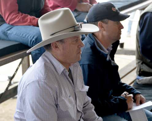 The biggest volume buyer at the Bundara Downs ram sale with 40 rams was Bruce Creek, Balquhidder Station, Parawa and KI, pictured here during bidding with his SAL buying agent, Will Nolan.