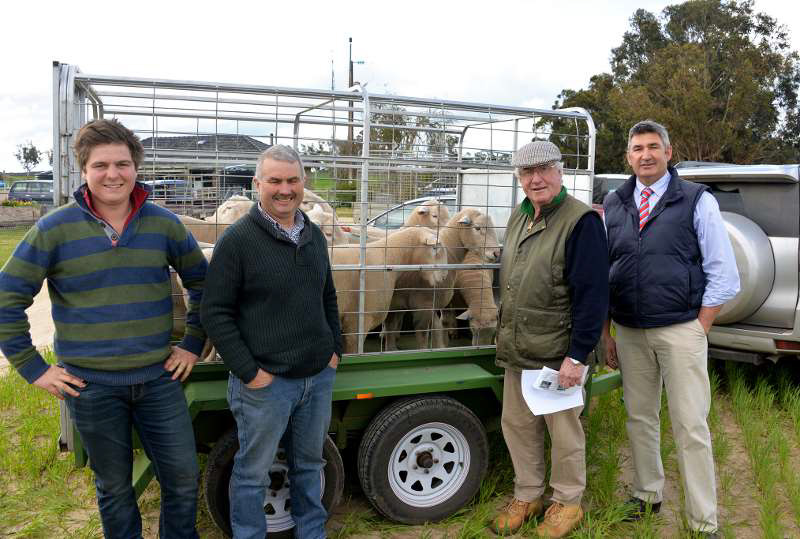Tim and Leon Schwarz, Muston Creek, Hamilton were very prominent buyers once again at the Bundara Downs ram sale with 32 rams at a $1234 average. They are pictured with their Landmark agent Robert Lovell and joint sale agent representative Laryn Gogel, SAL Naracoorte.