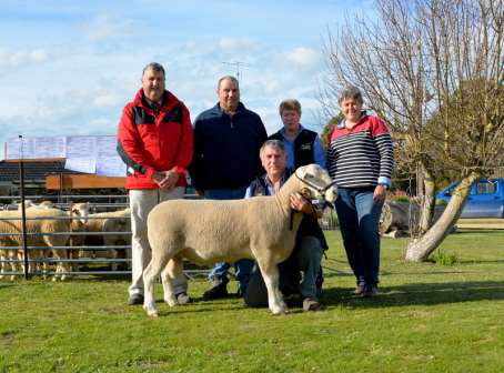 Pictured with the $2400 second top priced ram at the Bundara Downs ram sale are Elders Bordertown manager Brenton Henricks, purchaser Trevor Pietsch, Bordertown, Ros and Steve (holding ram front) Funke, Bundara Downs and purchaser Kath Pietsch.