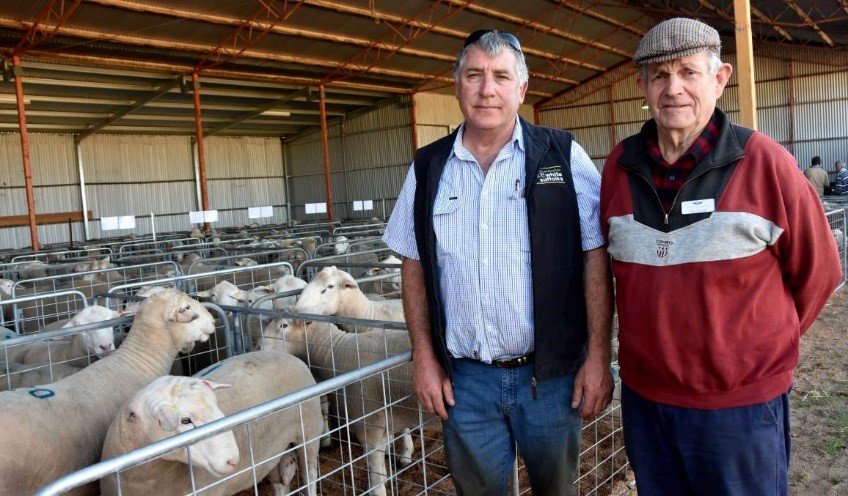 Steve Funke, Bundara Downs, Western Flat, discusses the lot 19 ram, which the stud donated the proceeds from to the RFDS, with Bordertown sub-branch member Rex Staude. Over the years Bundara Downs has donated $27,120 to the RFDS.