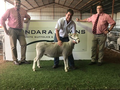 Pictured with the $1400 top priced Poll Dorset ewe, which went to online purchaser Craig Wilson Livestock, Wagga Wagga, are Elders stud stock auctioneers, Laryn Gogel & Tony Wetherall, with Greg Funke, Bundara Downs holding the ewe. Craig Wilson Livestock was the biggest volume Poll Dorset ewe buyer with 56 ewes.