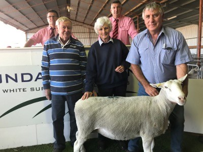Pictured with the $2200 top priced White Suffolk ewe, held by Steve Funke, are purchasers Bob & Karen Cameron, Kingston SE, and behind, Elders stud stock auctioneers, Laryn Gogel & Tony Wetherall.