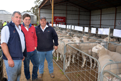 Bundara Downs co-principal Steve Funke is with two of the most prominent buyers at the 21st annual sale, Tim Schwarz, Muston Creek, Hamilton (41 rams) and PPH & S Naracoorte’s Richard Harvey (38 rams for seven clients).