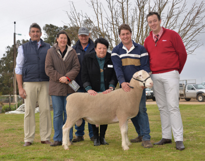 Pictured with the White Suffolk ram that sold for $1800 with proceeds donated to the RFDS are SAL auctioneer Laryn Gogel, purchasers Leanne and Kym Krause, Western Flat, RFDS Bordertown president Grid Hubl, Bundara Downs co-principal Greg Funke (holding ram) and Elders auctioneer Ronnie Dix.