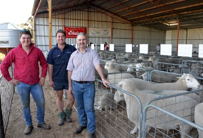 The biggest volume buyers were the Schwarz family, Muston Creek, Hamilton with 39 rams. Tim and Leon Schwarz are with Greg Funke (centre) from Bundara Downs.