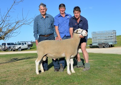Pictured with the $2700 lot 19 White Suffolk ram are Rex Staude representing RFDS, purchaser Peter Button, Ramsay Park, Minlaton and Bundara Downs’s Greg Funke.