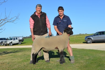 Pictured with the $3600 top priced Suffolk ram at the Bundara Downs sale, purchased by Gemini Suffolks, Werneth, Vic are Elders Bordertown manger Brenton Henriks and Greg Funke holding the ram.