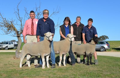 Pictured with the top priced rams from the three breeds at the Bundara Downs ram sale are Elders auctioneer Laryn Gogel, Collyn Garnett, Curlew Creek stud, Gnowangerup, WA with his $10,200 Poll Dorset purchase; Suzanne Funke holding the $6200 top White Suffolk purchased by Millinup stud, WA; Elders Bordertown manager Brenton Henriks; and Greg Funke holding the $3600 Suffolk purchased by Gemini Suffolks, Werneth, Vic.