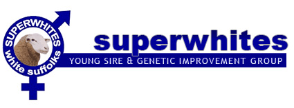 Superwhites - Young Sire & Genetic Improvement Group