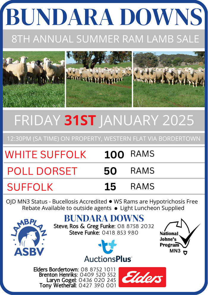 2025 BUNDARA RAM LAMB SALE POSTER