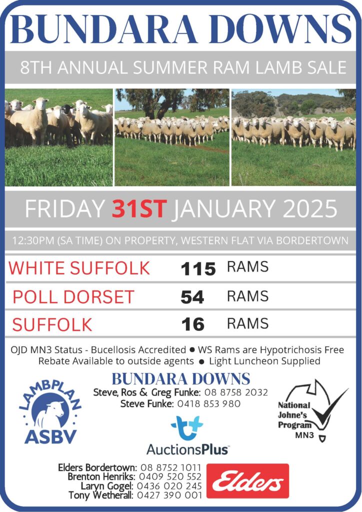 2025 BUNDARA RAM LAMB SALE POSTER